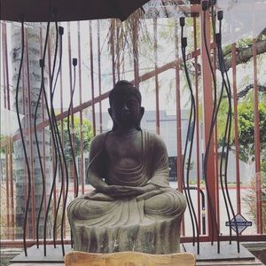 Meet your Posher, Lucy